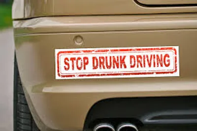 Illustration bumper sticker - Image 2